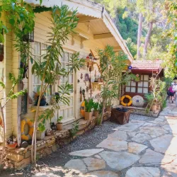Dalyan Mud Baths and Thermal Springs - Dalyan