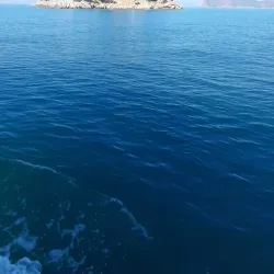 Dalyan River Boat Tours - Dalyan