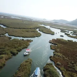 Dalyan River Boat Tours - Dalyan