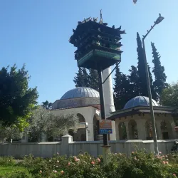 Dalyan Village - Dalyan