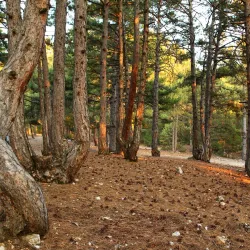Honaz Mountain National Park - Denizli
