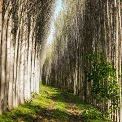 Hevsel Gardens - Diyarbakir