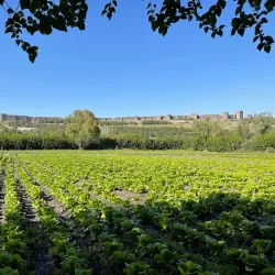 Hevsel Gardens - Diyarbakir