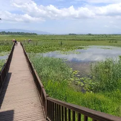 Efteni Lake Nature Park - Duzce