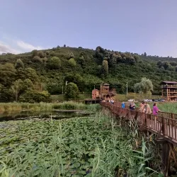 Efteni Lake Nature Park - Duzce