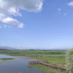 Efteni Lake Nature Park - Duzce