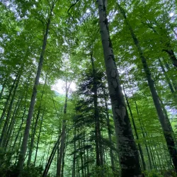 Güzeldere Waterfall - Duzce