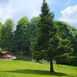 Güzeldere Waterfall - Duzce
