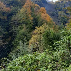 Güzeldere Waterfall - Duzce