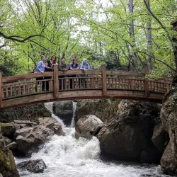 Samandere Waterfall Nature Park - Duzce