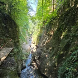 Samandere Waterfall Nature Park - Duzce