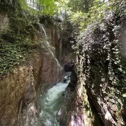 Samandere Waterfall Nature Park - Duzce