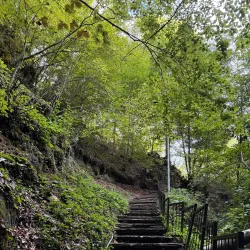 Yığılca Nature Park - Duzce