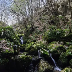 Yığılca Nature Park - Duzce