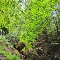 Yığılca Nature Park - Duzce