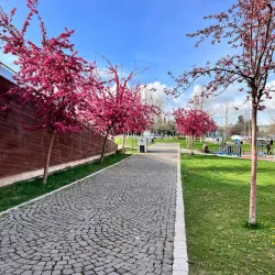 Elazig City Park - Elazig