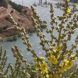 Keban Dam and Lake - Elazig