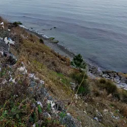 Alaplı River - Ereğli