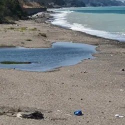 Alaplı River - Ereğli