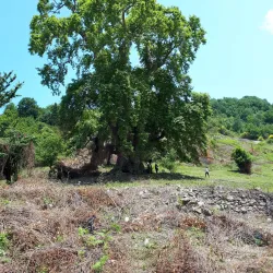 Black Sea Coastline and Beaches - Ereğli