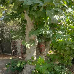 Ereğli Atatürk Park - Ereğli