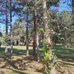 Ereğli Atatürk Park - Ereğli