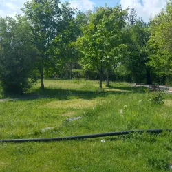 Ereğli Atatürk Park - Ereğli