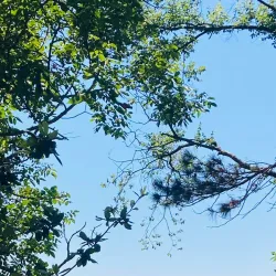 Ereğli Castle (Kale) - Ereğli