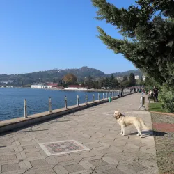 Ereğli Marina - Ereğli