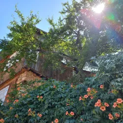 Kemaliye (Eğin) Town - Erzincan