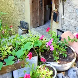 Kemaliye (Eğin) Town - Erzincan