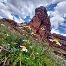 Narman Fairy Chimneys - Erzurum