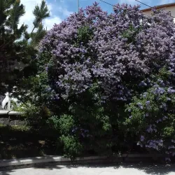 Palandöken National Park - Erzurum