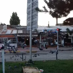 Palandöken National Park - Erzurum