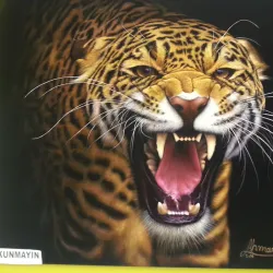 Esenyurt Art Gallery - Esenyurt