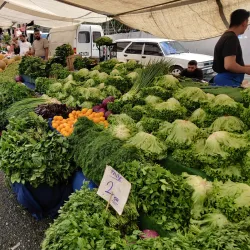 Esenyurt Market (Esenyurt Pazarı) - Esenyurt