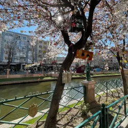 Porsuk River and Quay - Eskisehir