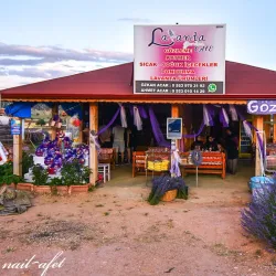 Lavender Gardens of Isparta - Isparta