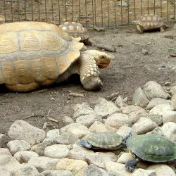 Izmir Wildlife Park - Izmir