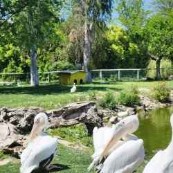 Izmir Wildlife Park - Izmir
