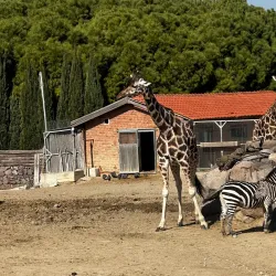 Izmir Wildlife Park - Izmir