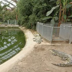 Izmir Wildlife Park - Izmir