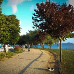 Fenerbahce Park - Kadikoy (Kadıköy)