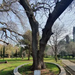 Fenerbahce Park - Kadikoy (Kadıköy)