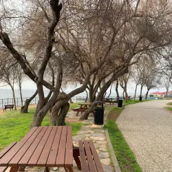 Fenerbahce Park - Kadikoy (Kadıköy)