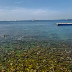 Fenerbahce Park - Kadikoy (Kadıköy)