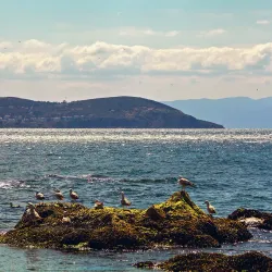 Fenerbahce Park - Kadikoy (Kadıköy)