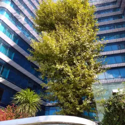 Moda Neighborhood - Kadikoy (Kadıköy)