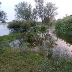 Ancient Hittite Reliefs - Kadirli