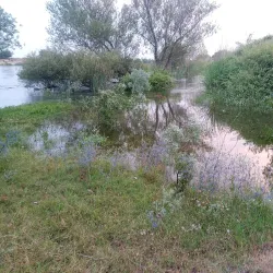 Ancient Hittite Reliefs - Kadirli